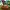 Australian Survivor - A State Of Chaos And Confusion