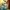 Harvey Beaks - The Negatives of Being Positively Charged