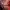 The Flower of Evil - Reinvestigation