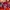 Fate/stay Night: Unlimited Blade Works
