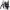 Partners - Sperm und Drang