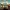 Grand Tour (The) - Berks to the Future
