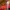 Isabel Preysler: My Christmas