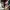 Steins;Gate 0
