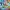 Pokémon Horizons - The Series