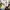 I Order For You - Episode 13