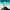 Camp Snoopy - Blueberry Birds / A Banner Day