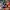 Power Rangers Megaforce - Earth Fights Back