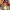 Bakugan: Battle Planet - The Phantom Thief Comes to Call / Phantom Thief Ajit