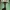 Cannabis - Ep. 2