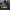 Challenge: World Championship (The) - What In The World?