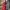 Jonathan Creek - The Tailor's Dummy