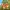 Dawn Of The Croods - The Good Surprise