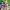 Fortune Quest L