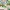 Isekai Onsen Paradise - Episode 7