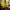 Such Brave Girls - Such Birthday Girls