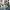 A Channel: The Animation - A Channel: The Animation (OVA) 1