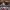 Matriošky - Episode 4