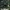 Project Loki - TBA