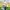 Moral Orel - God's Image
