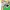 Keroro Gunsou - Episode 1