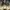 Dune: Prophecy