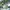 Blindspotting
