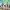 Life on Seacrow Island