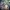 Seven Knights Revolution: Hero Successor