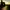 Innocence Files (The)